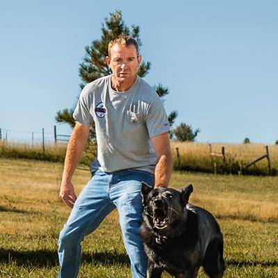 Protection Dog Training training image 3